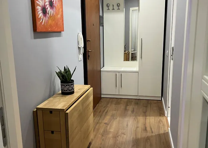 Franci's No4 * Tirana