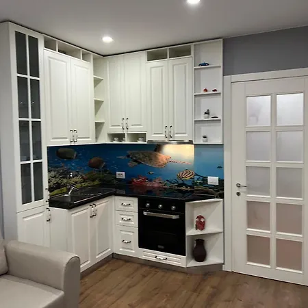 Διαμέρισμα Franci's No4