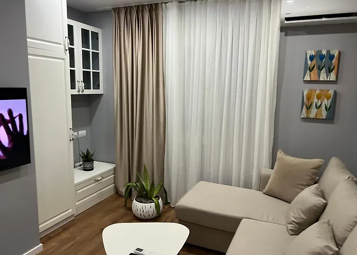 アパート Franci's No4 ティラナ